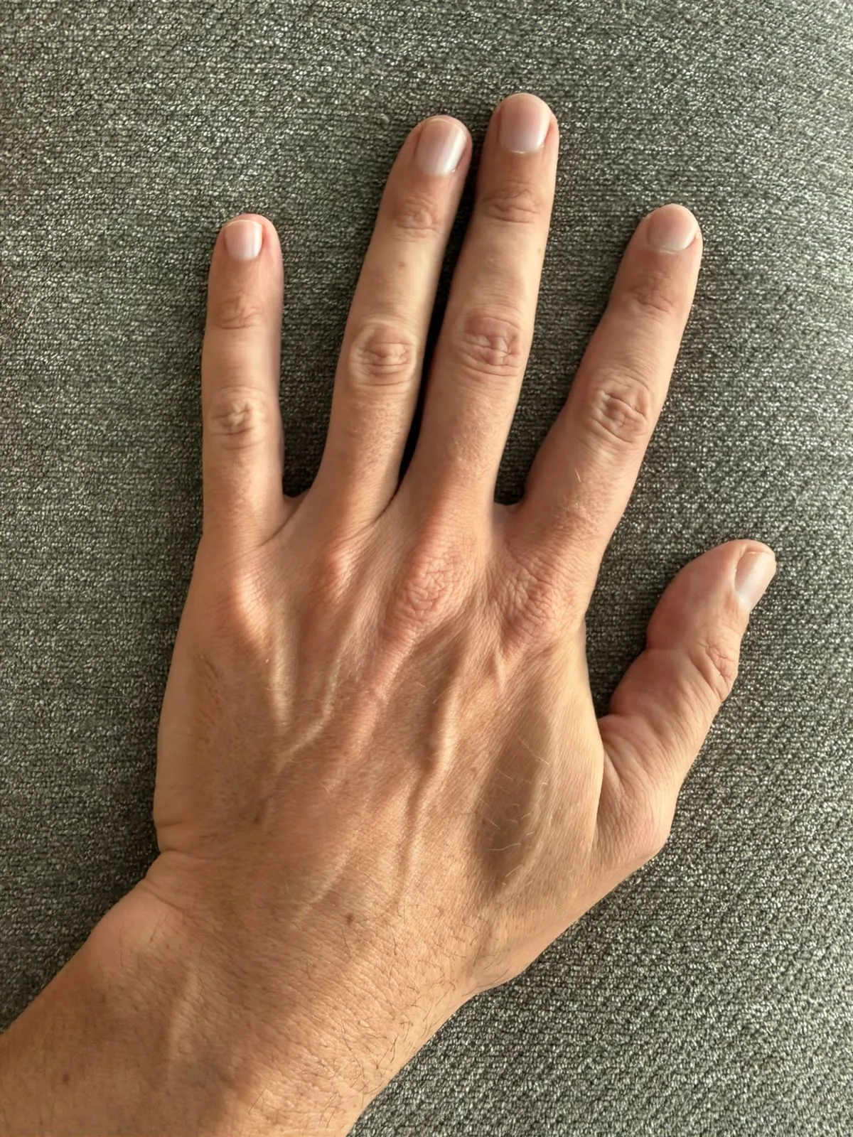 Professional hand model